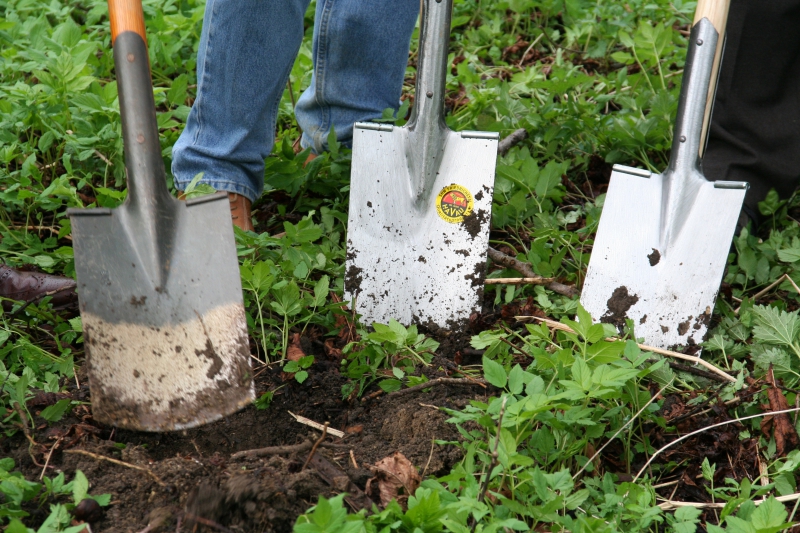 pepiniere-TOULON-min_work-lawn-flower-tool-green-backyard-1103633-pxhere.com